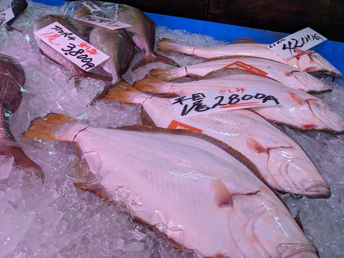 Fresh Scallop Sashimi in Hitachinaka, Ibaraki photo 3