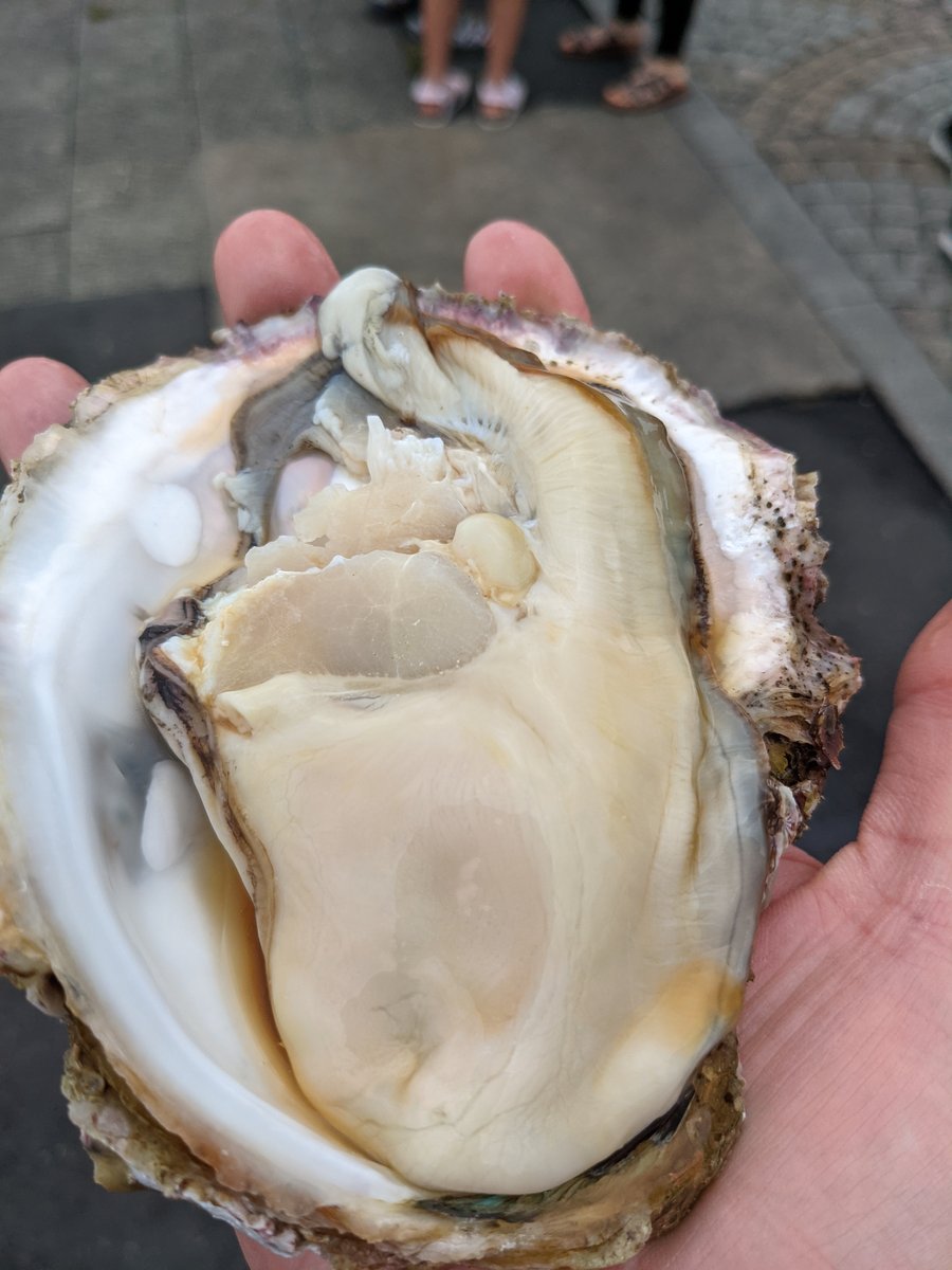 Fresh Oyster at Minamoto-cho, Hitachinaka