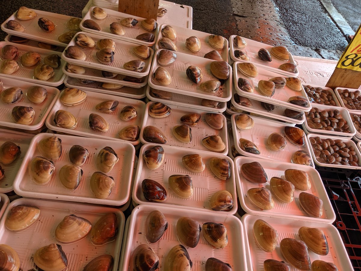 Fresh Oyster at Minamoto-cho, Hitachinaka photo 3