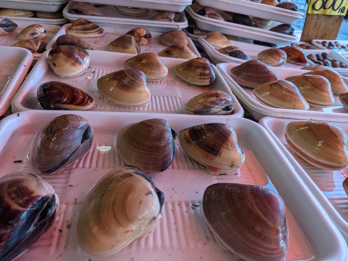 Fresh Oyster at Minamoto-cho, Hitachinaka photo 4