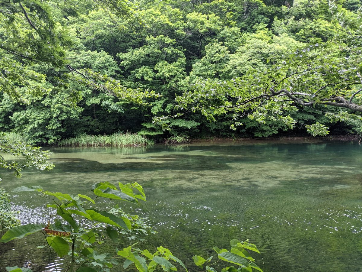 Towada Lake's Emerald Waters, Aomori
