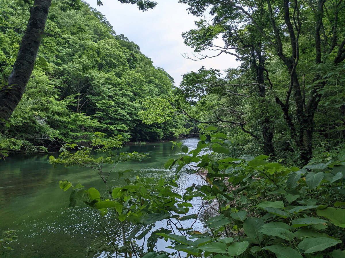 Towada Lake's Emerald Waters, Aomori photo 2