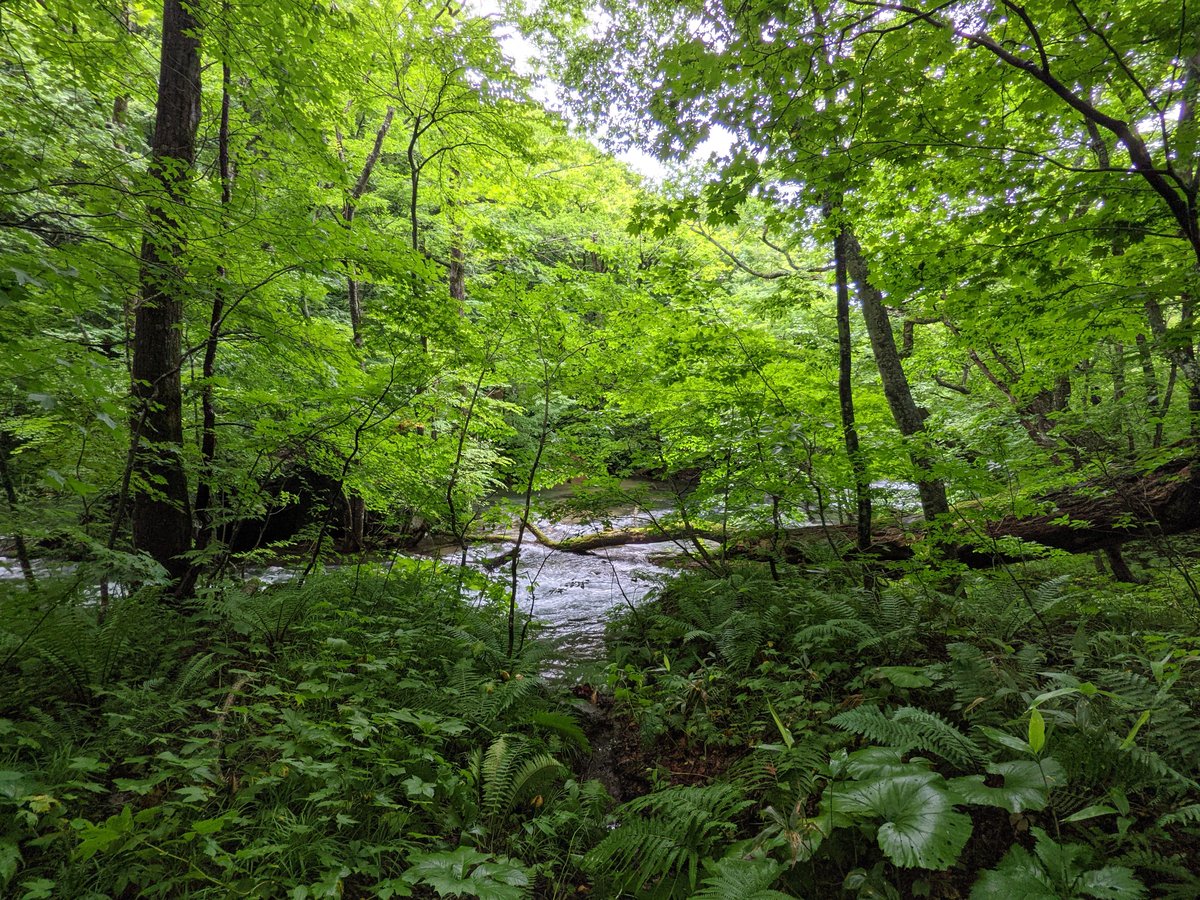 Towada Lake's Emerald Waters, Aomori photo 4