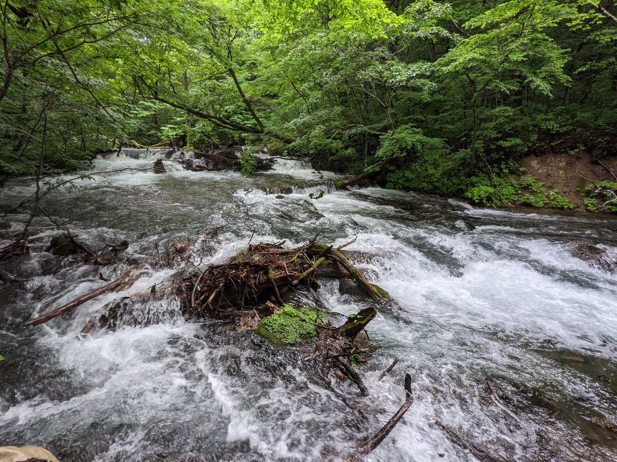Towada Lake's Emerald Waters, Aomori photo 5
