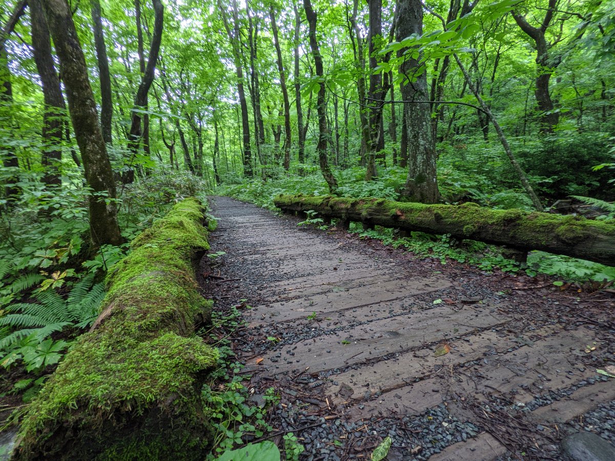 Quirky Trail Marker Art, Towada Aomori photo 2