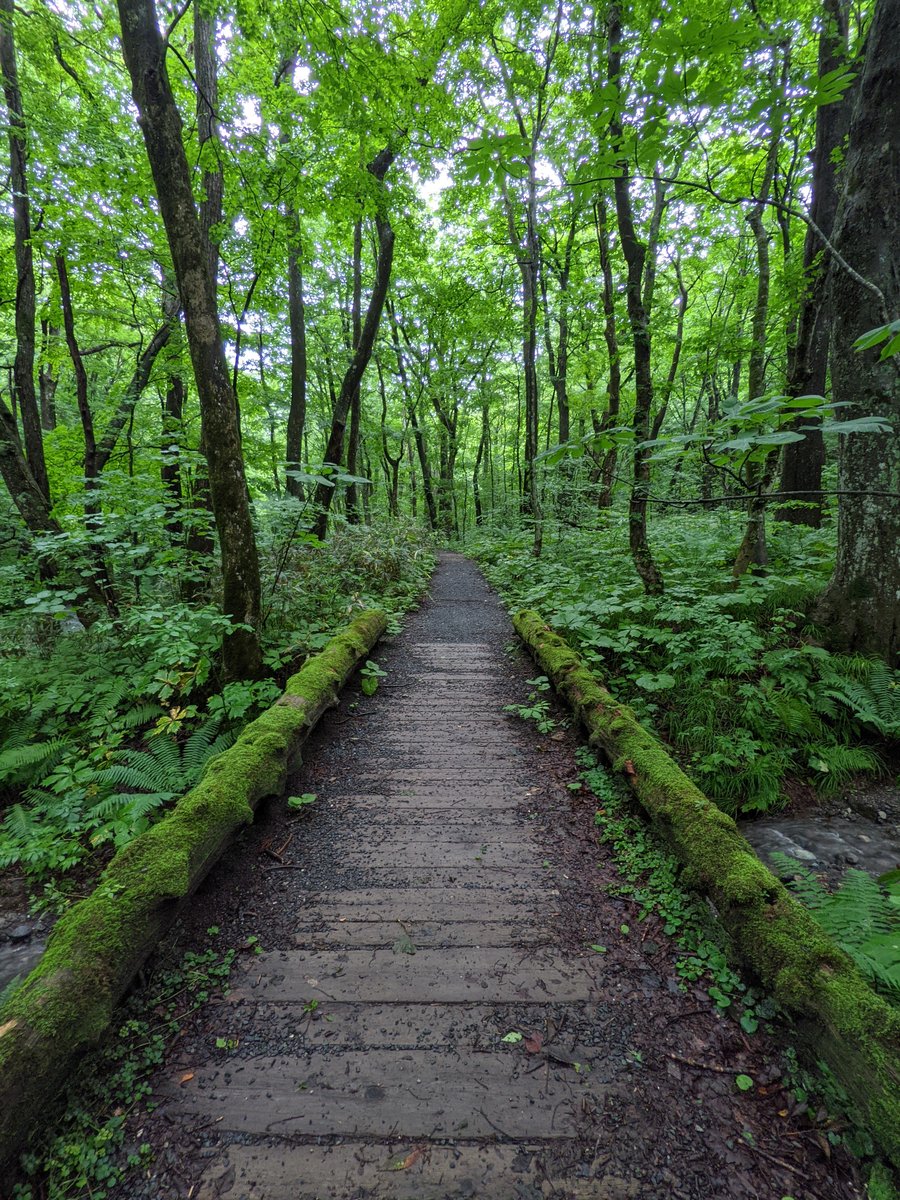 Quirky Trail Marker Art, Towada Aomori photo 3