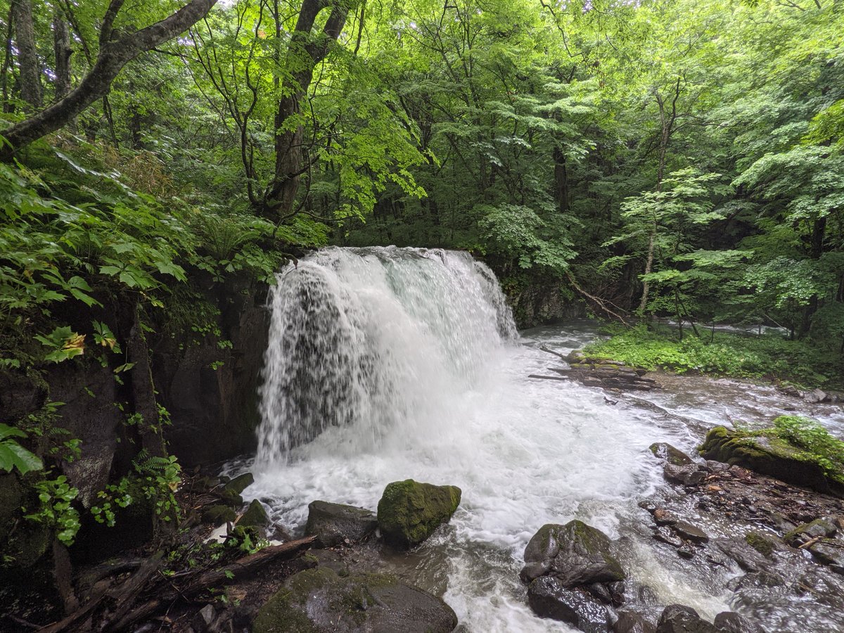 Towada Forest Stream, Aomori Prefecture photo 2