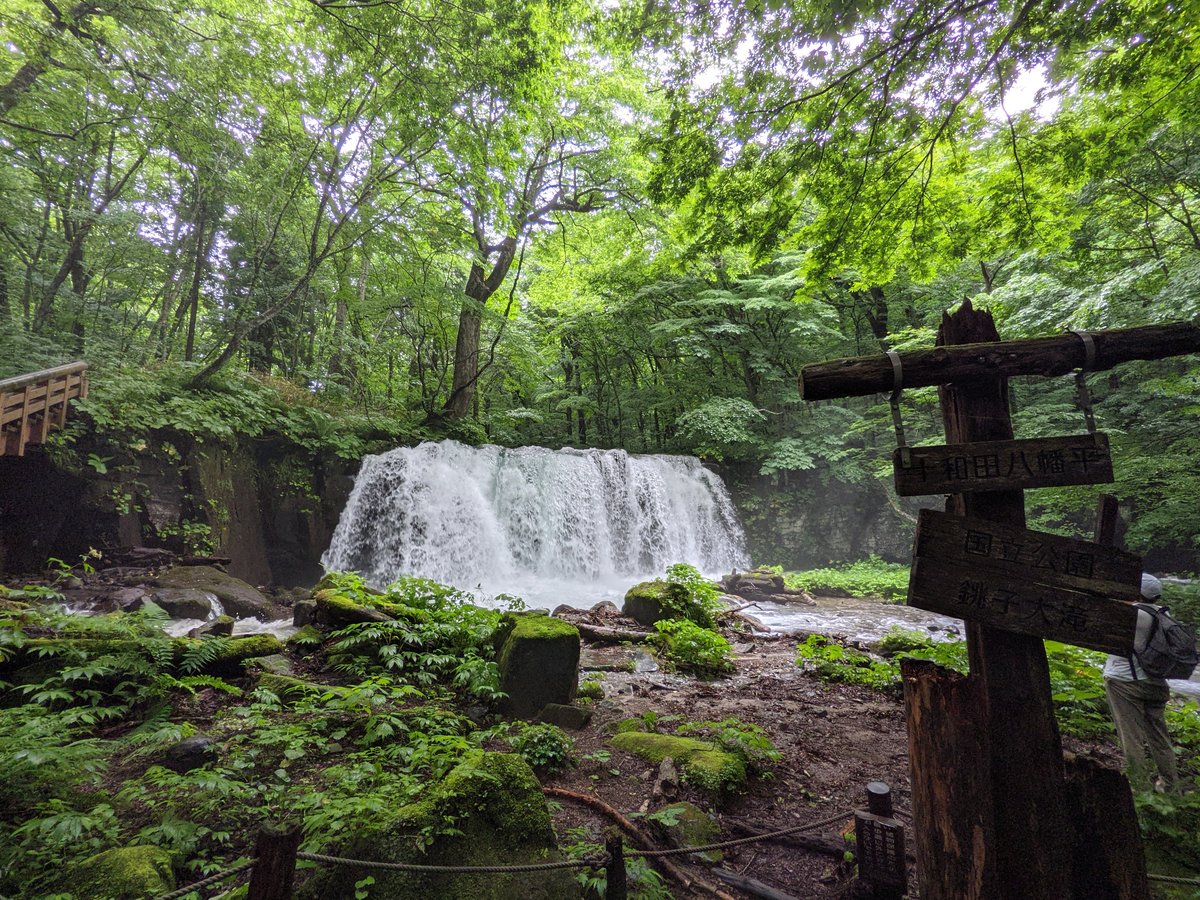 Towada Forest Stream, Aomori Prefecture photo 3