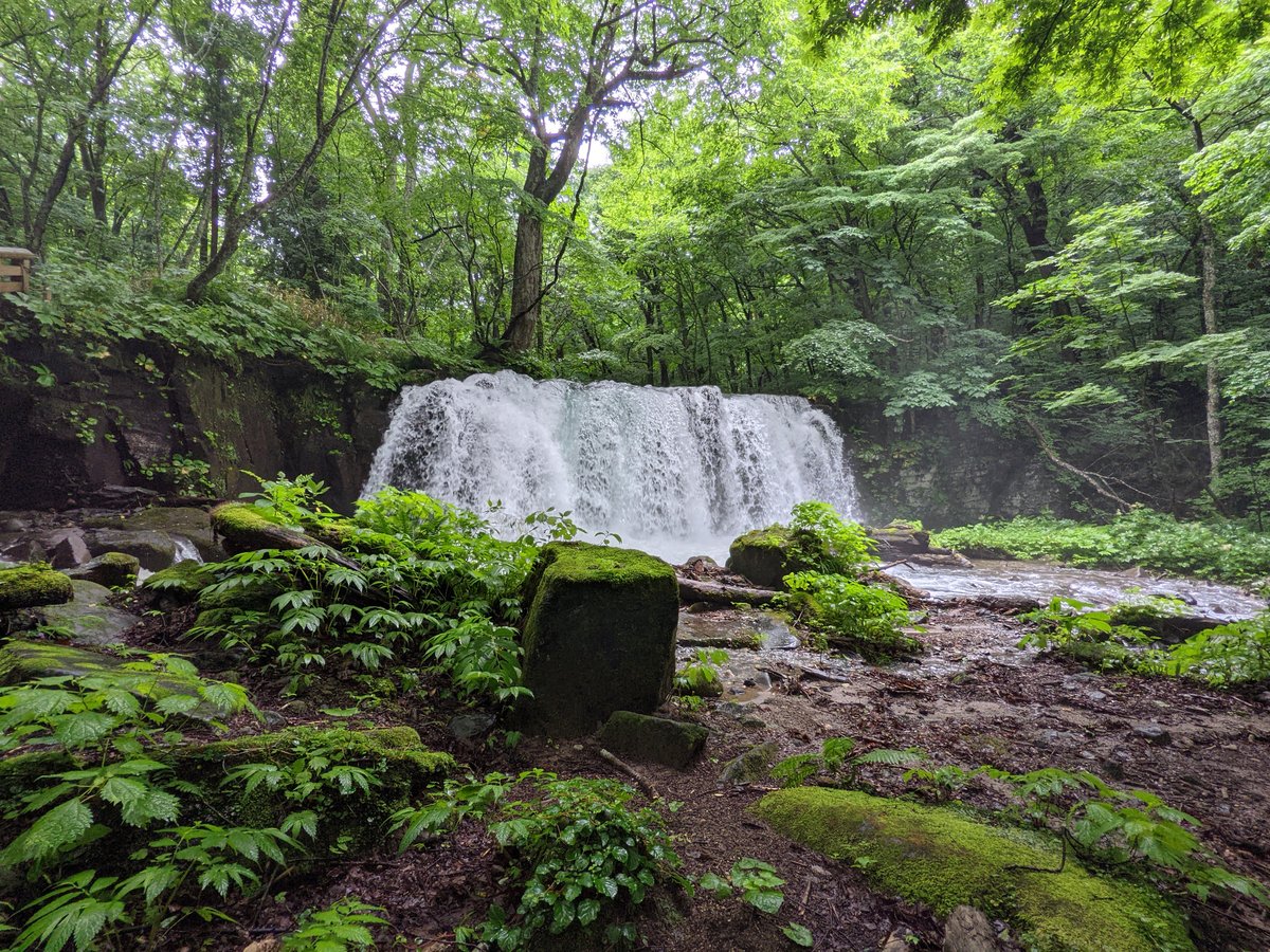 Towada Forest Stream, Aomori Prefecture photo 4
