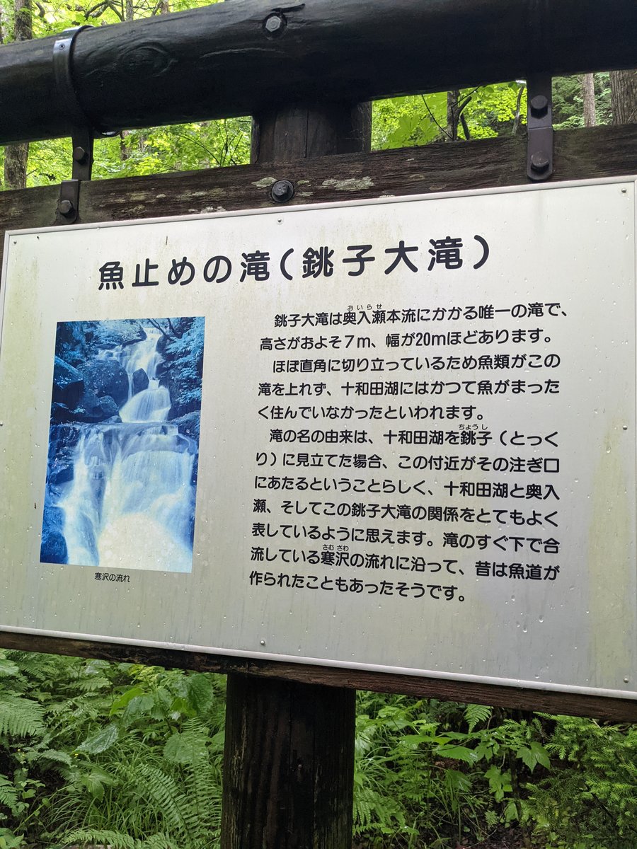 Towada Forest Stream, Aomori Prefecture photo 5