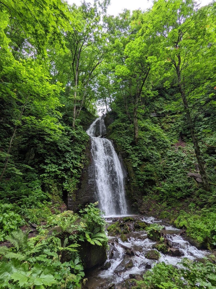 Summer Birds of Towada, Aomori — Nature Guide Sign photo 2