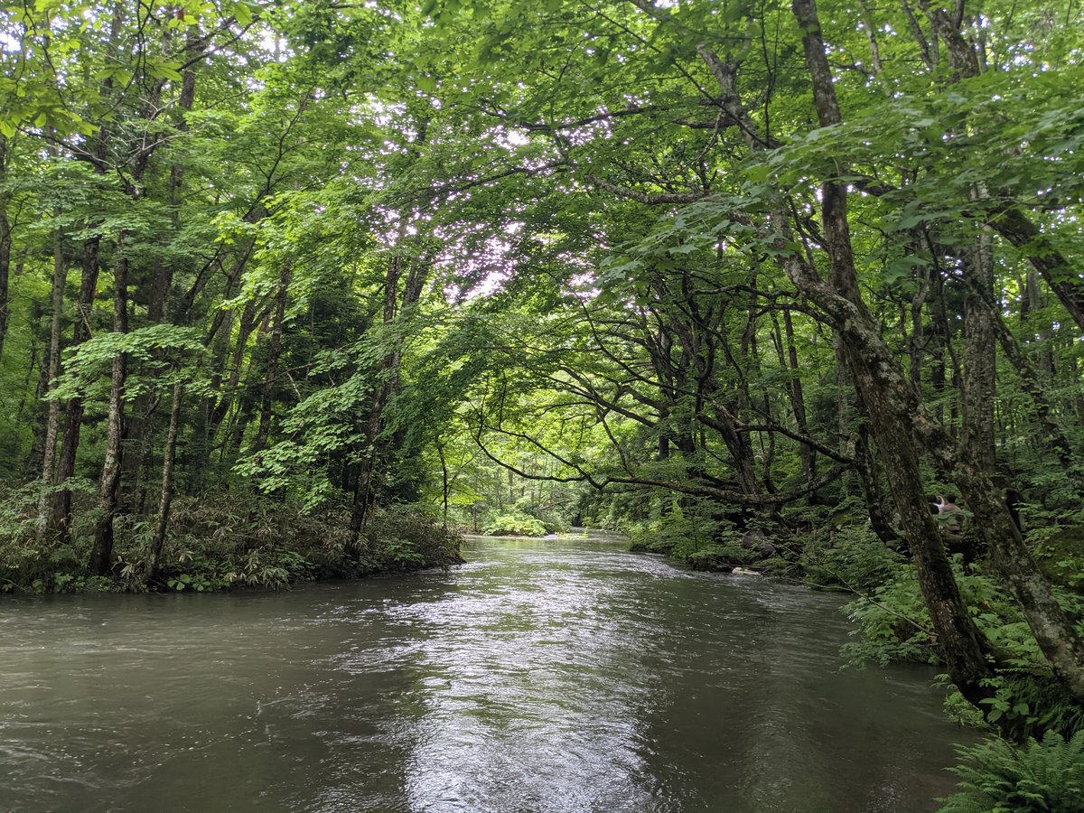 Towada's Pristine River Walk, Aomori