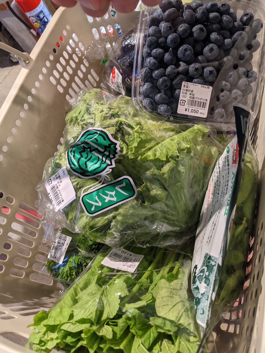 Fresh Local Produce at Hagimuro, Kawaba, Gunma