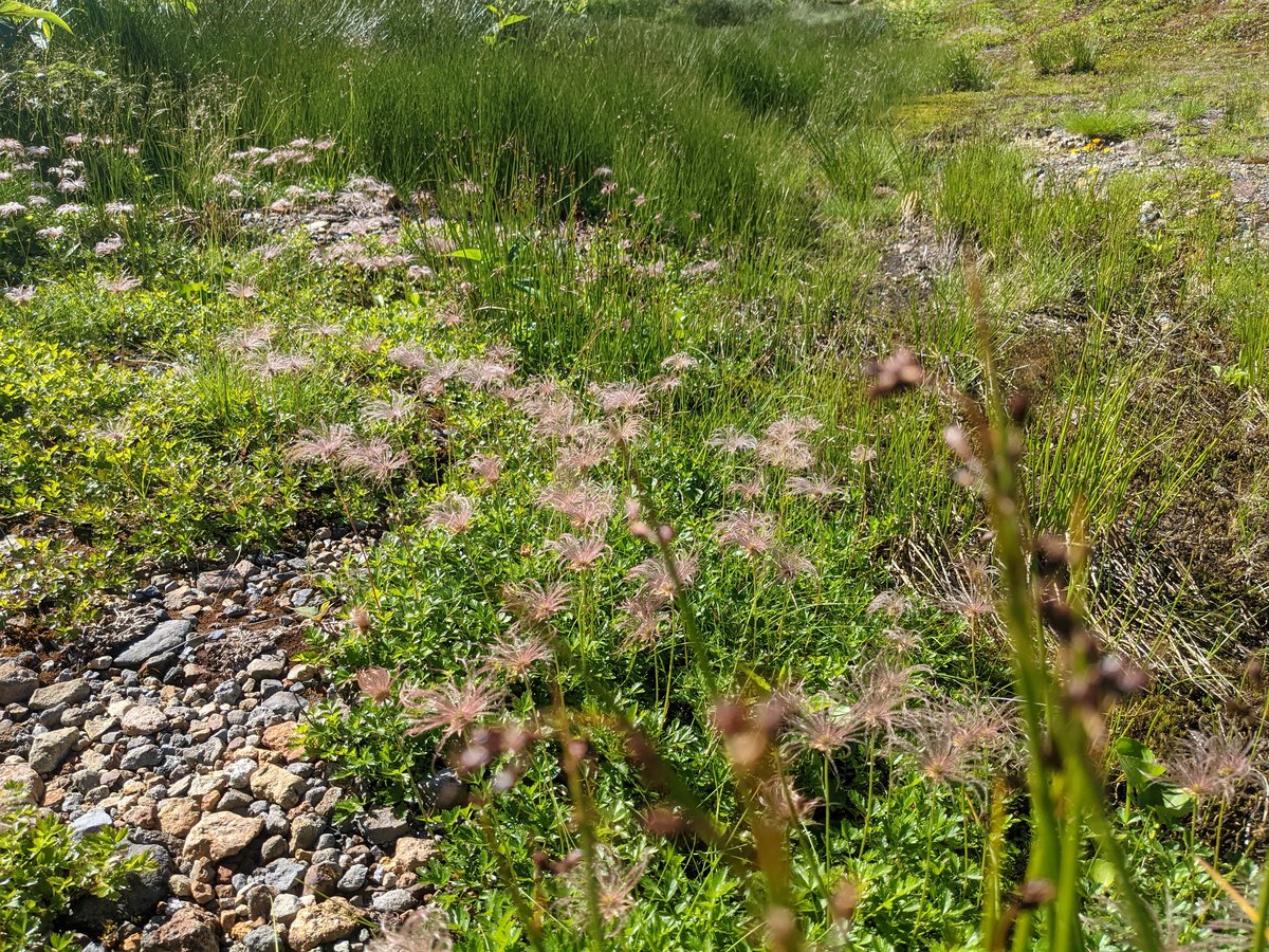 Alpine Trail in Mt. Tate, Tateyama, Toyama photo 3