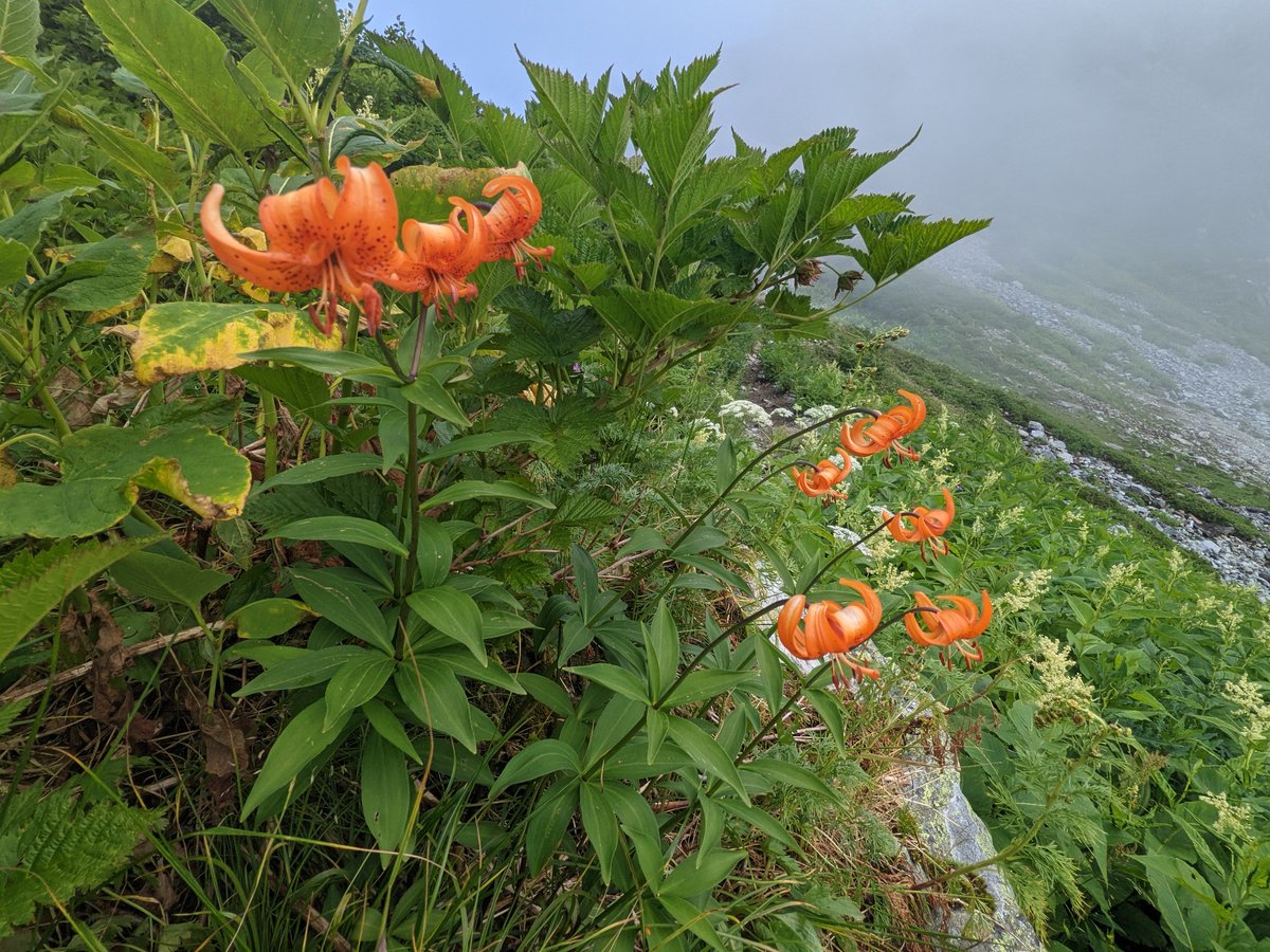 Alpine Valley Deep in Mt. Tate, Toyama photo 2