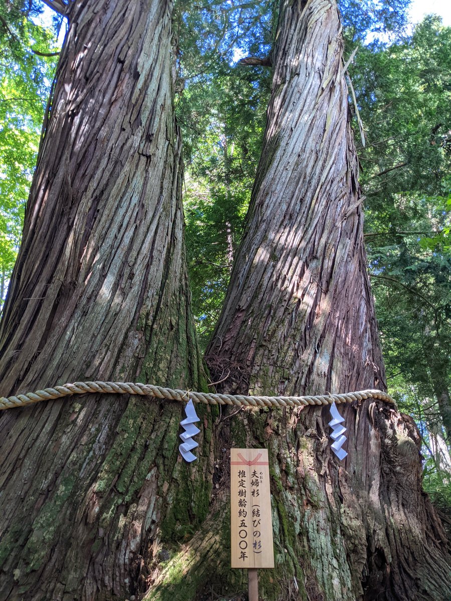 Kurohime Shrine Interior, Nagano — Timeless Wooden Architecture photo 3