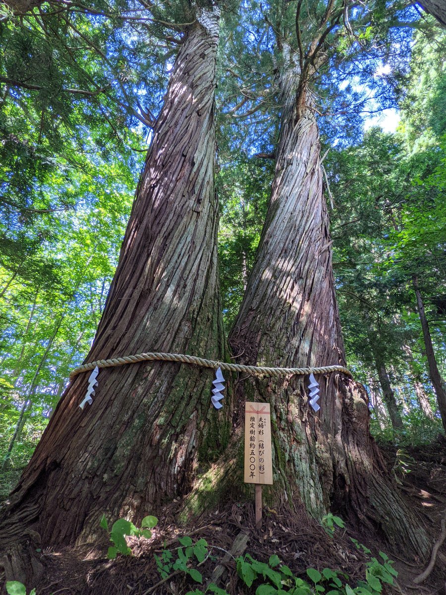 Kurohime Shrine Interior, Nagano — Timeless Wooden Architecture photo 4