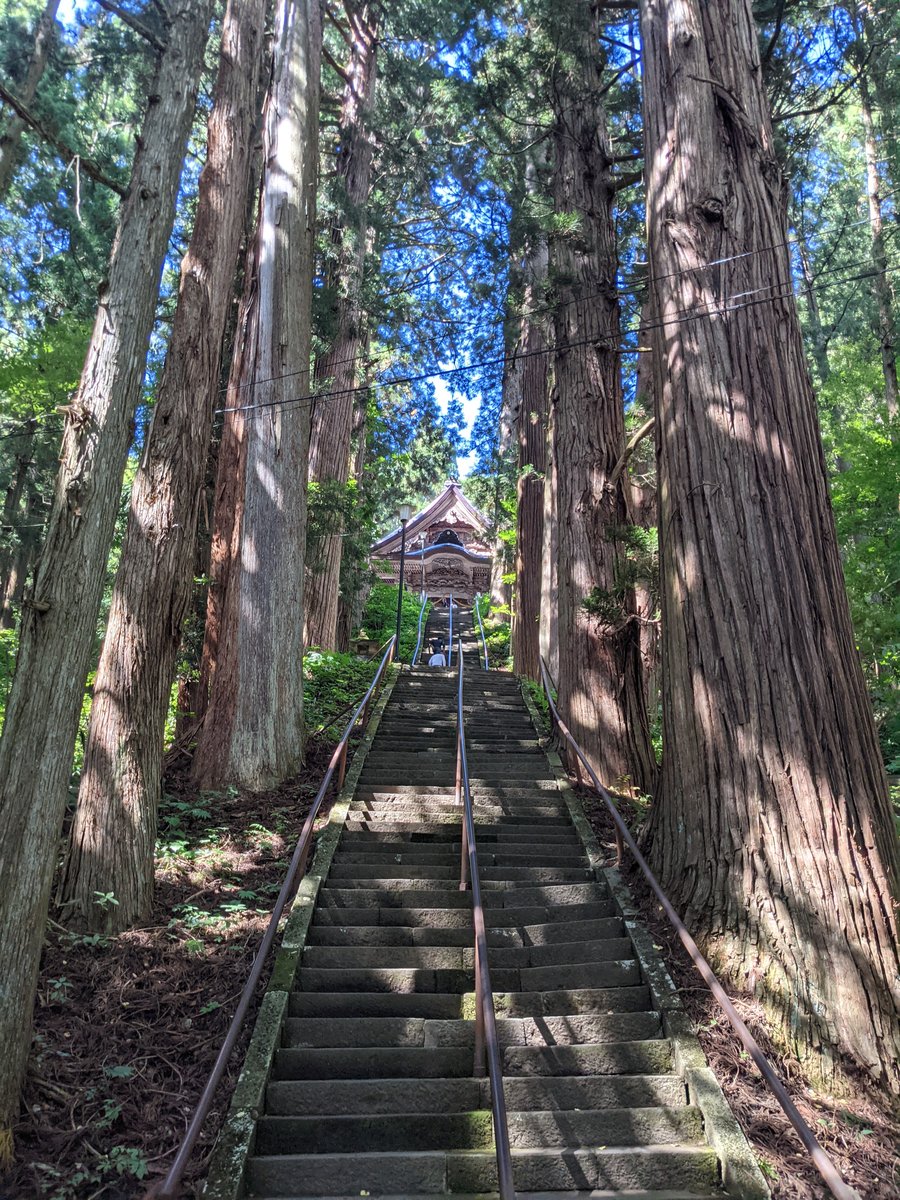 Ancient Cedar Avenue Approach, Nagano