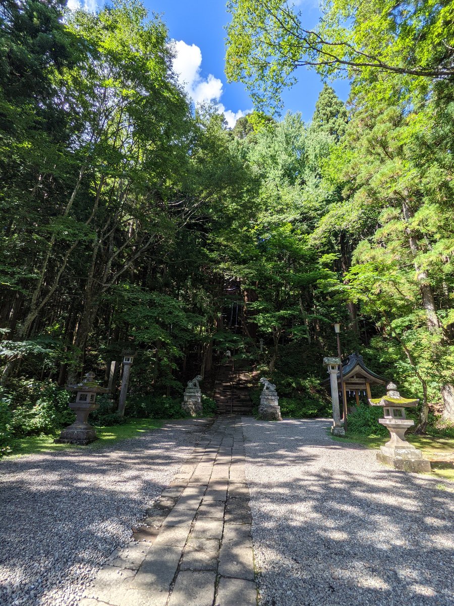 Ancient Cedar Avenue Approach, Nagano photo 5