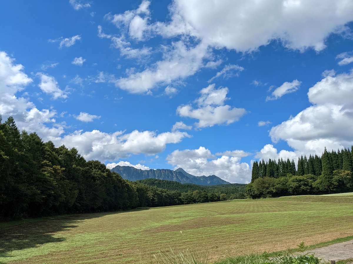 Ancient Cedar Avenue Approach, Nagano photo 6