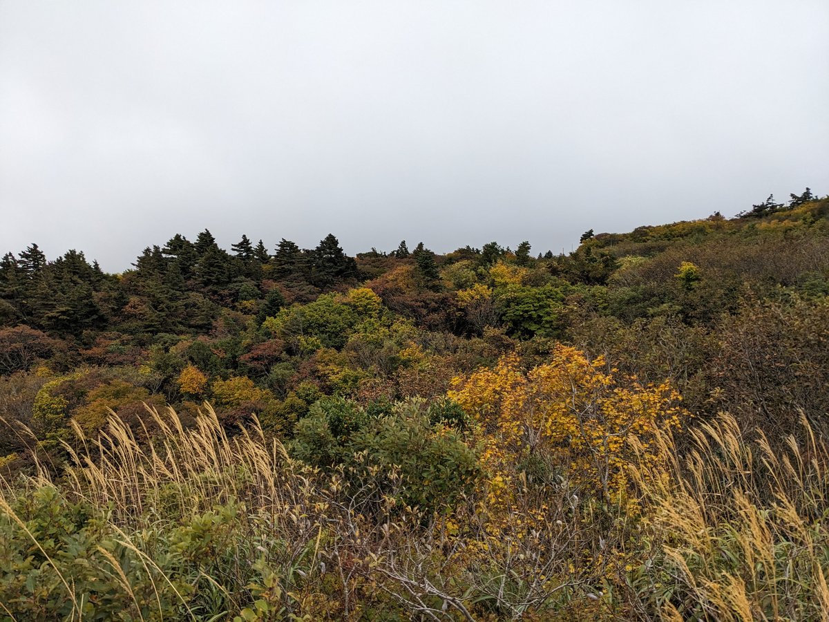 Zaō Volcano Landscape, Miyagi Prefecture photo 5