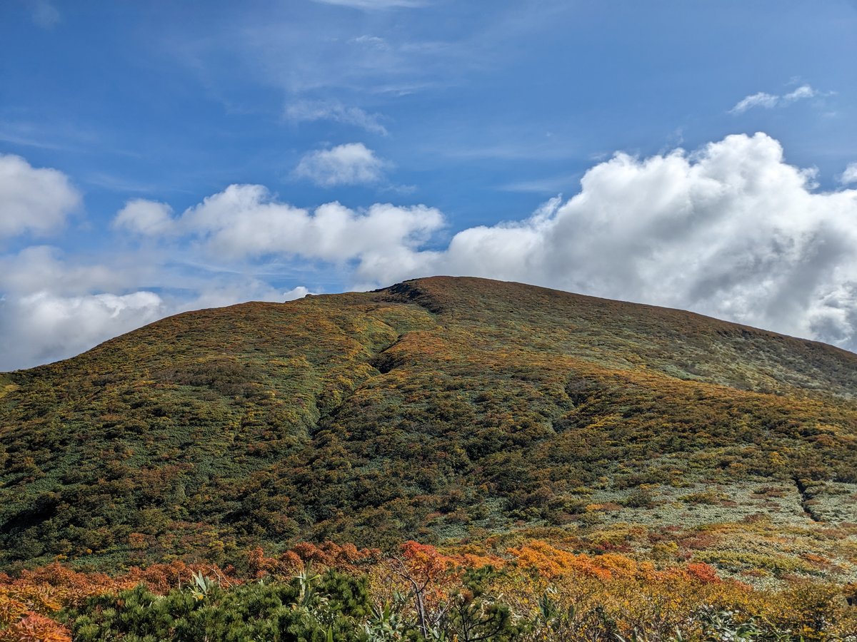 Autumn Leaves on the Slopes, Kurihara Miyagi
