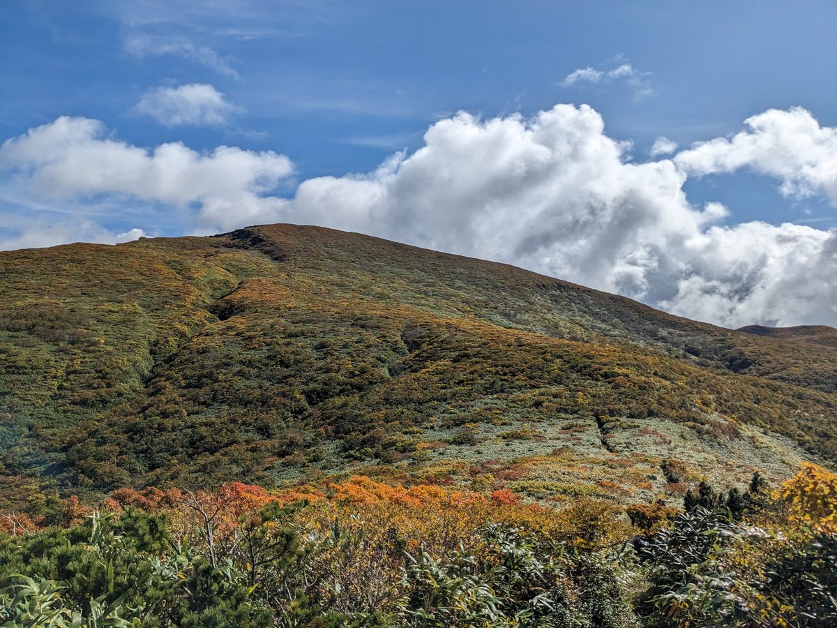 Autumn Leaves on the Slopes, Kurihara Miyagi photo 2