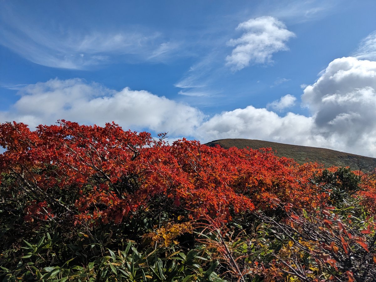 Autumn Leaves on the Slopes, Kurihara Miyagi photo 3