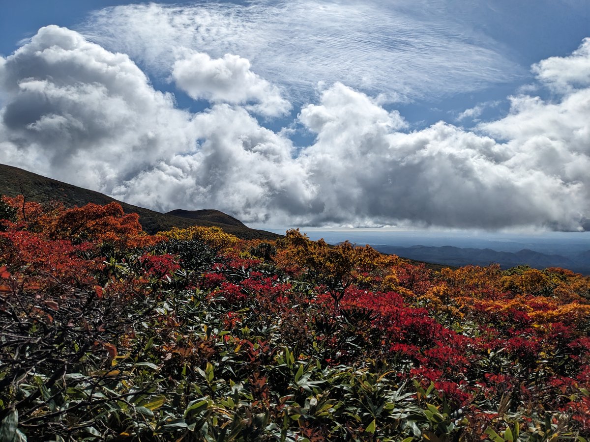 Autumn Leaves on the Slopes, Kurihara Miyagi photo 4