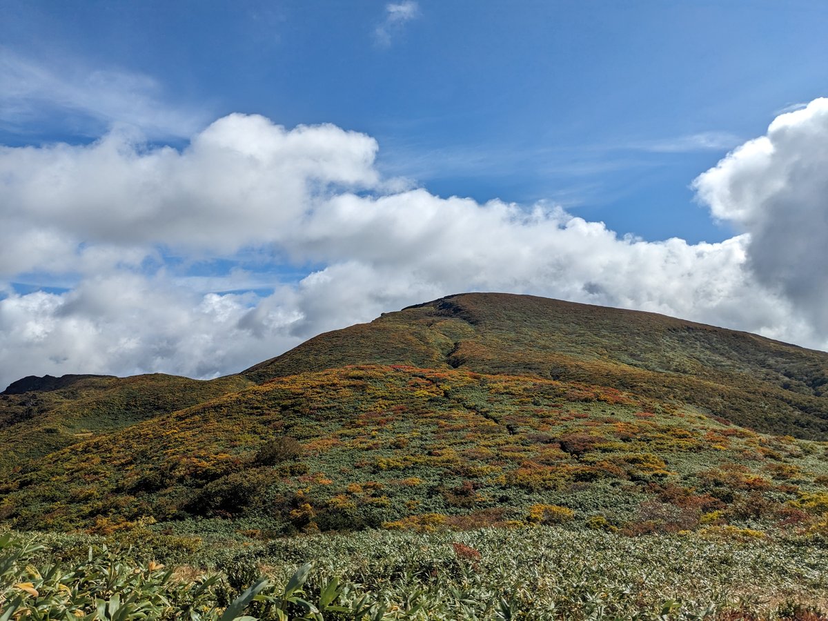 Autumn Leaves on the Slopes, Kurihara Miyagi photo 6