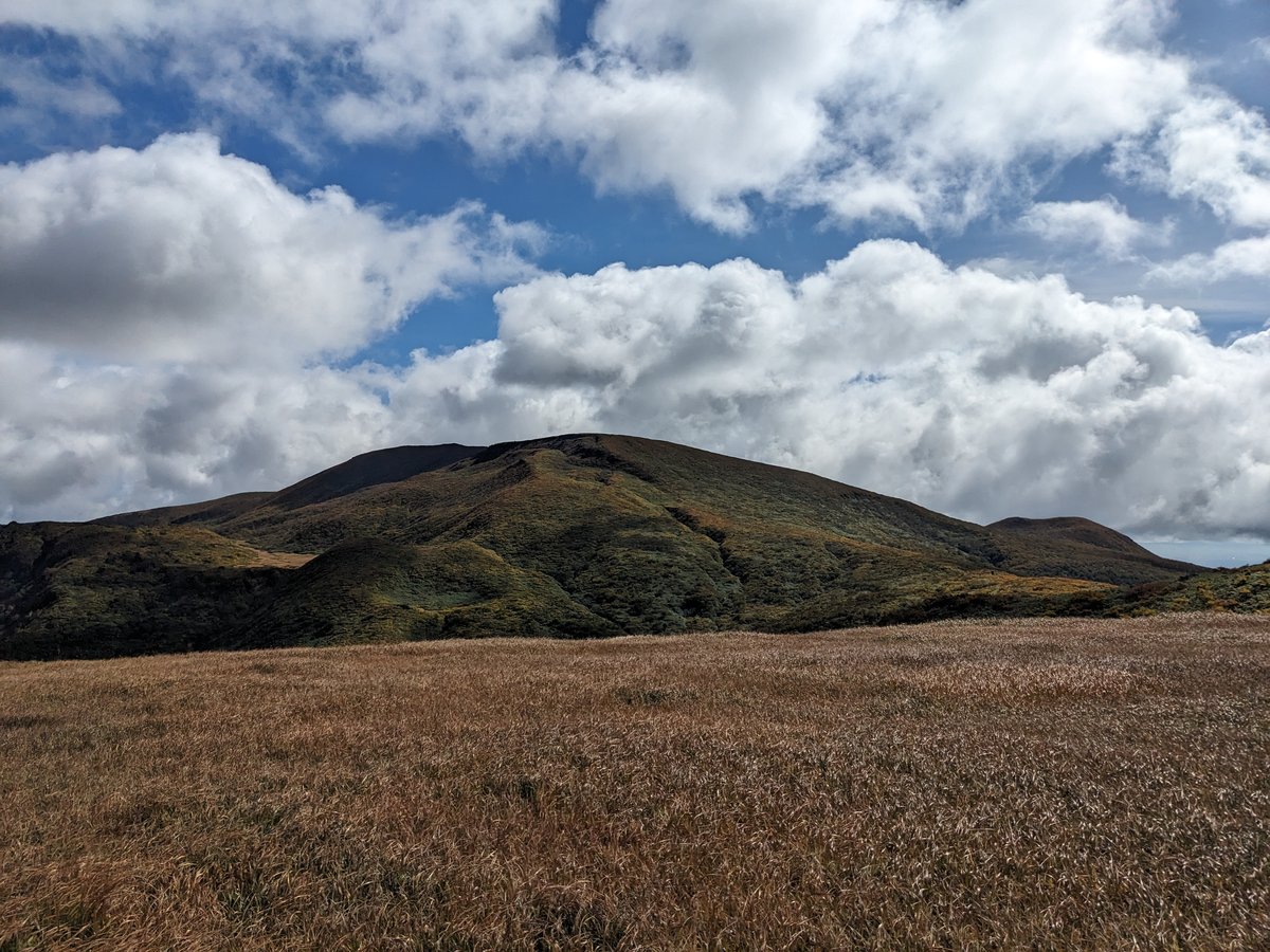Autumn Leaves in Higashinaruse, Akita — Peak Color photo 3