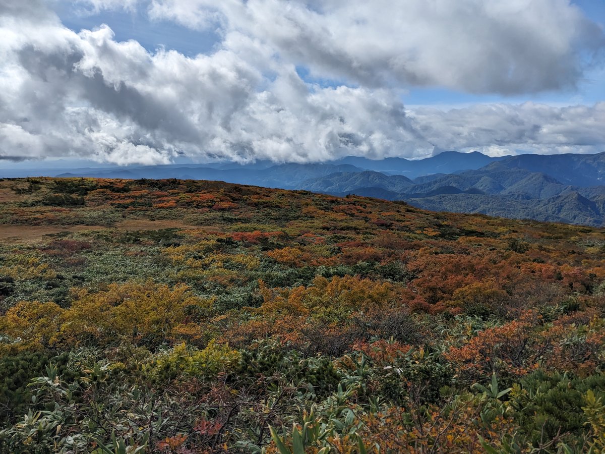 Autumn Leaves in Higashinaruse, Akita — Peak Color photo 4