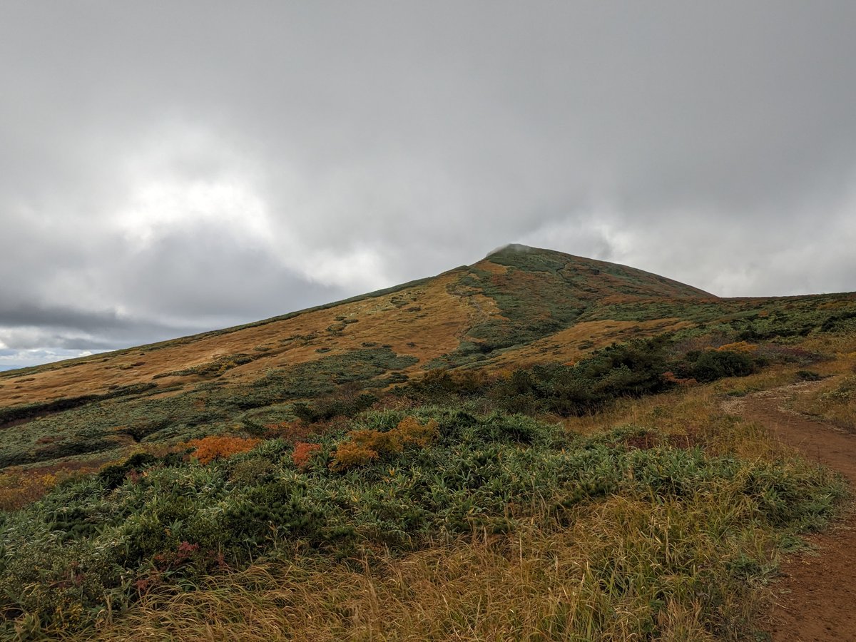 Autumn Leaves at Peak Color, Kurihara, Miyagi photo 2