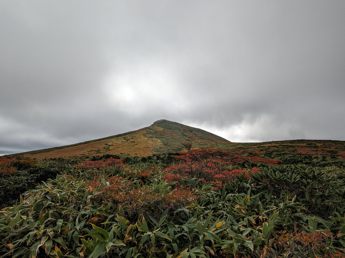 Autumn Leaves at Peak Color, Kurihara, Miyagi photo 4
