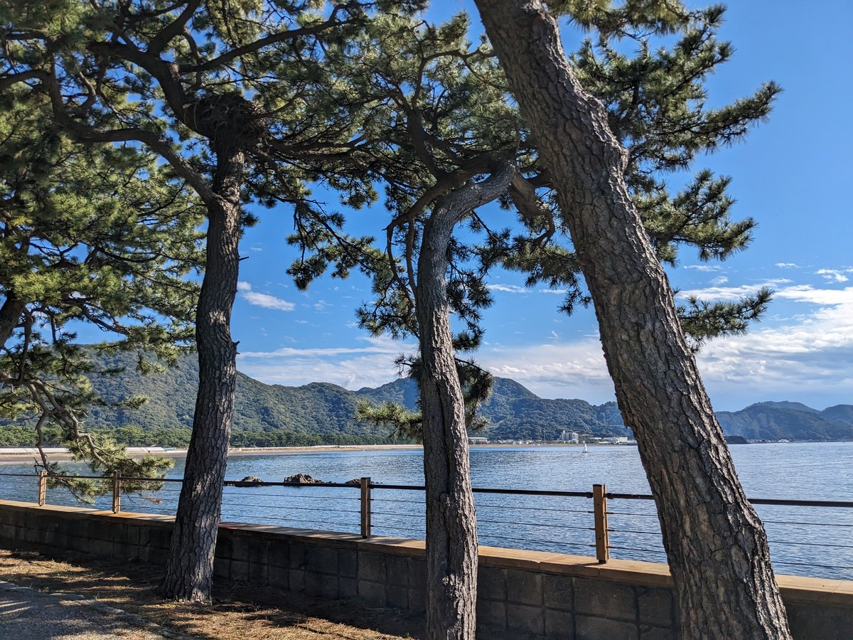 Midday at Zentayū, Numazu — Clear Skies Over Lake Ashi