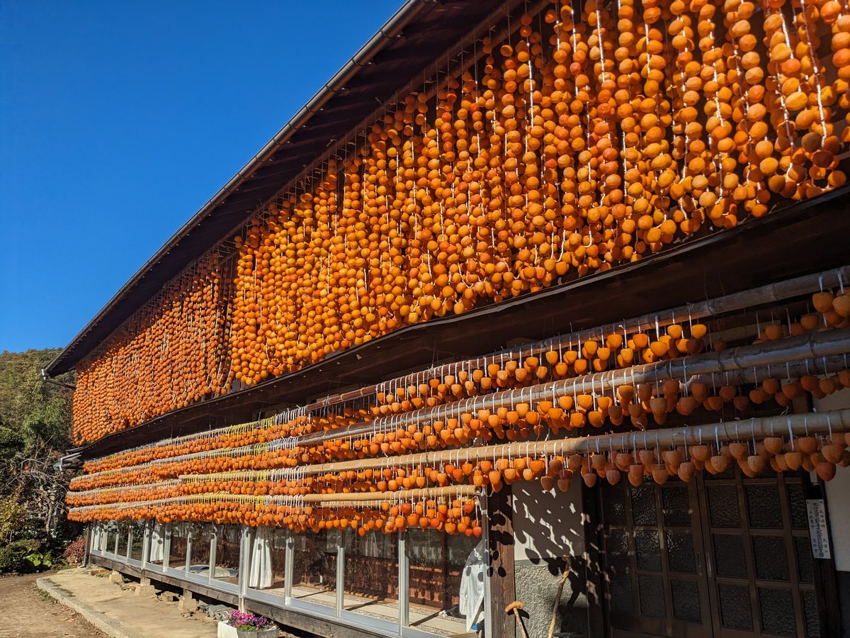 Persimmon Drying Season in Koshu, Yamanashi