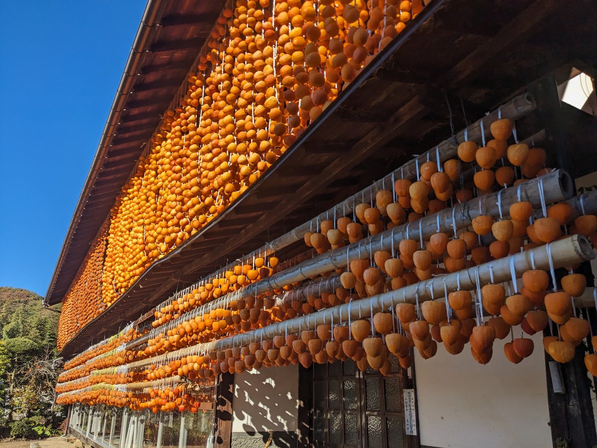 Persimmon Drying Season in Koshu, Yamanashi photo 2