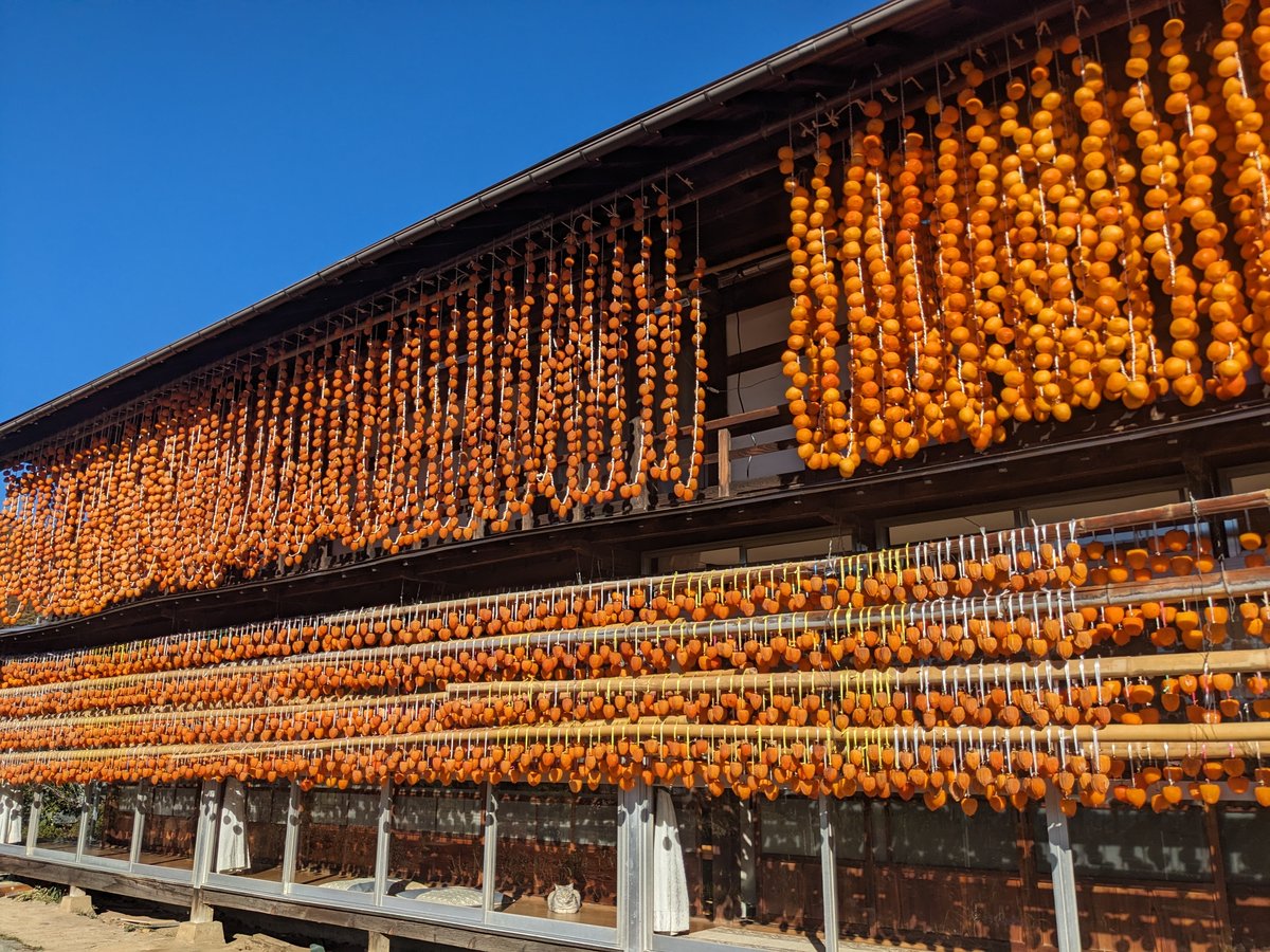 Persimmon Drying Season in Koshu, Yamanashi photo 3