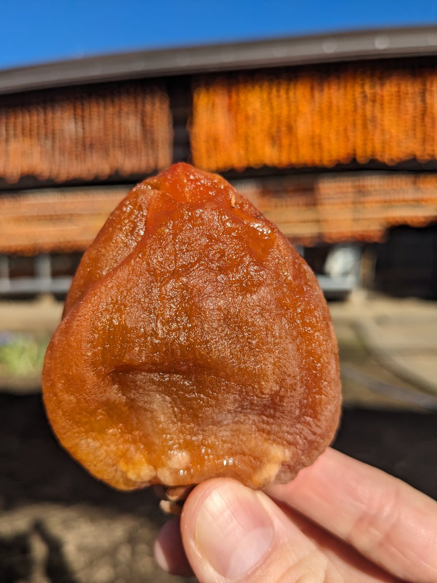 Persimmon Drying Season in Koshu, Yamanashi photo 4