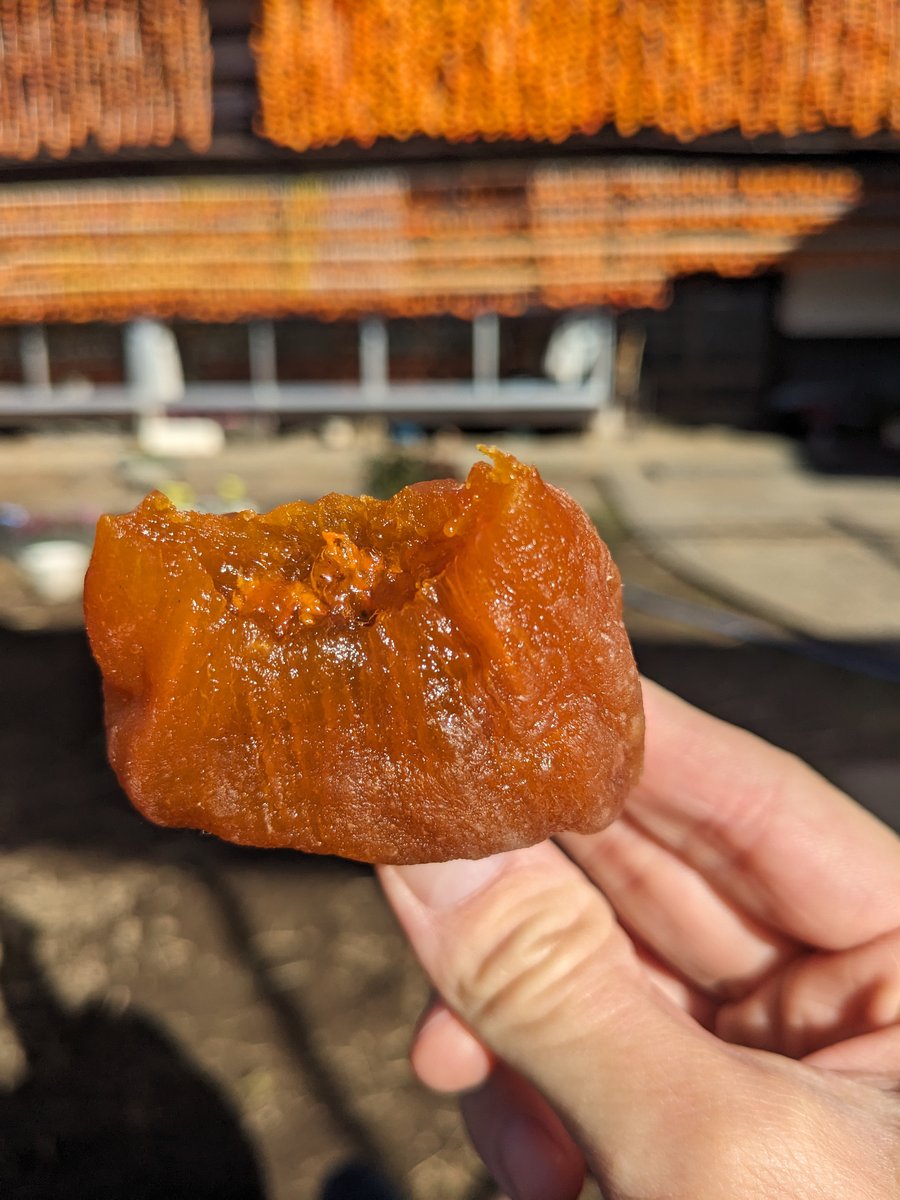 Persimmon Drying Season in Koshu, Yamanashi photo 5