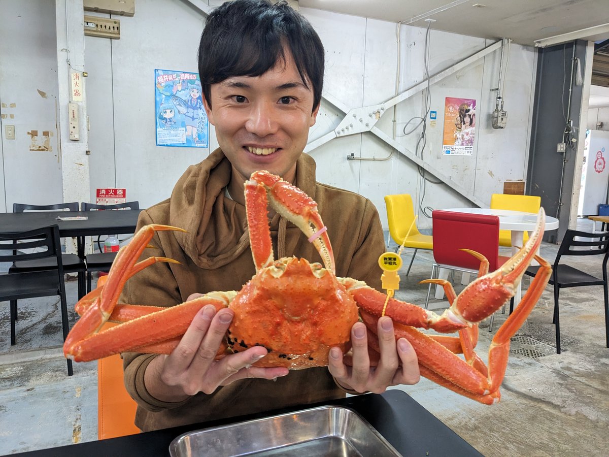 Giant King Crab at Tsuruga, Fukui photo 4