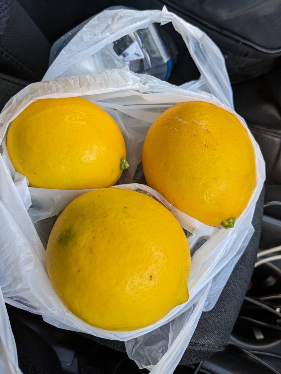 Fresh Lemons from Tomioka-higashi, Yokohama