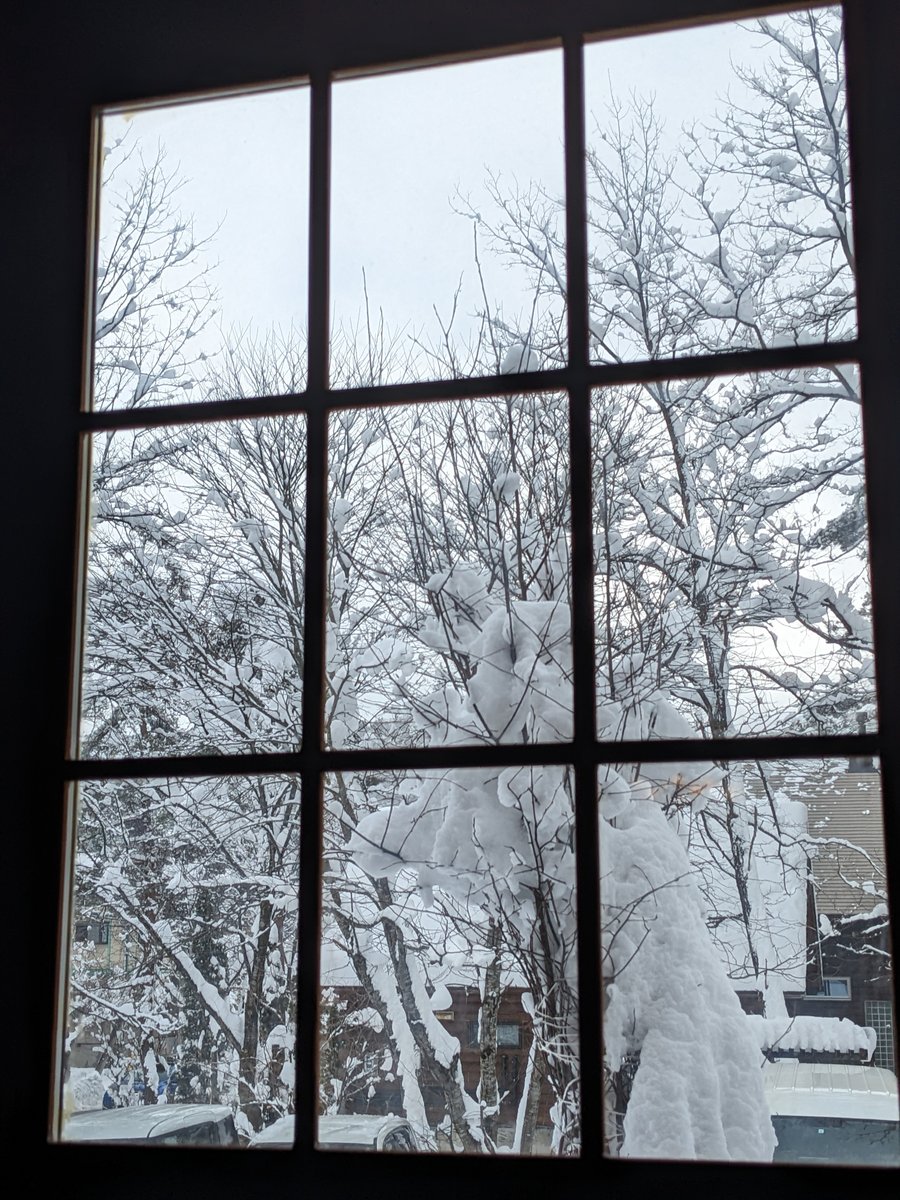 Snowed-In December Morning at Hakuba, Nagano
