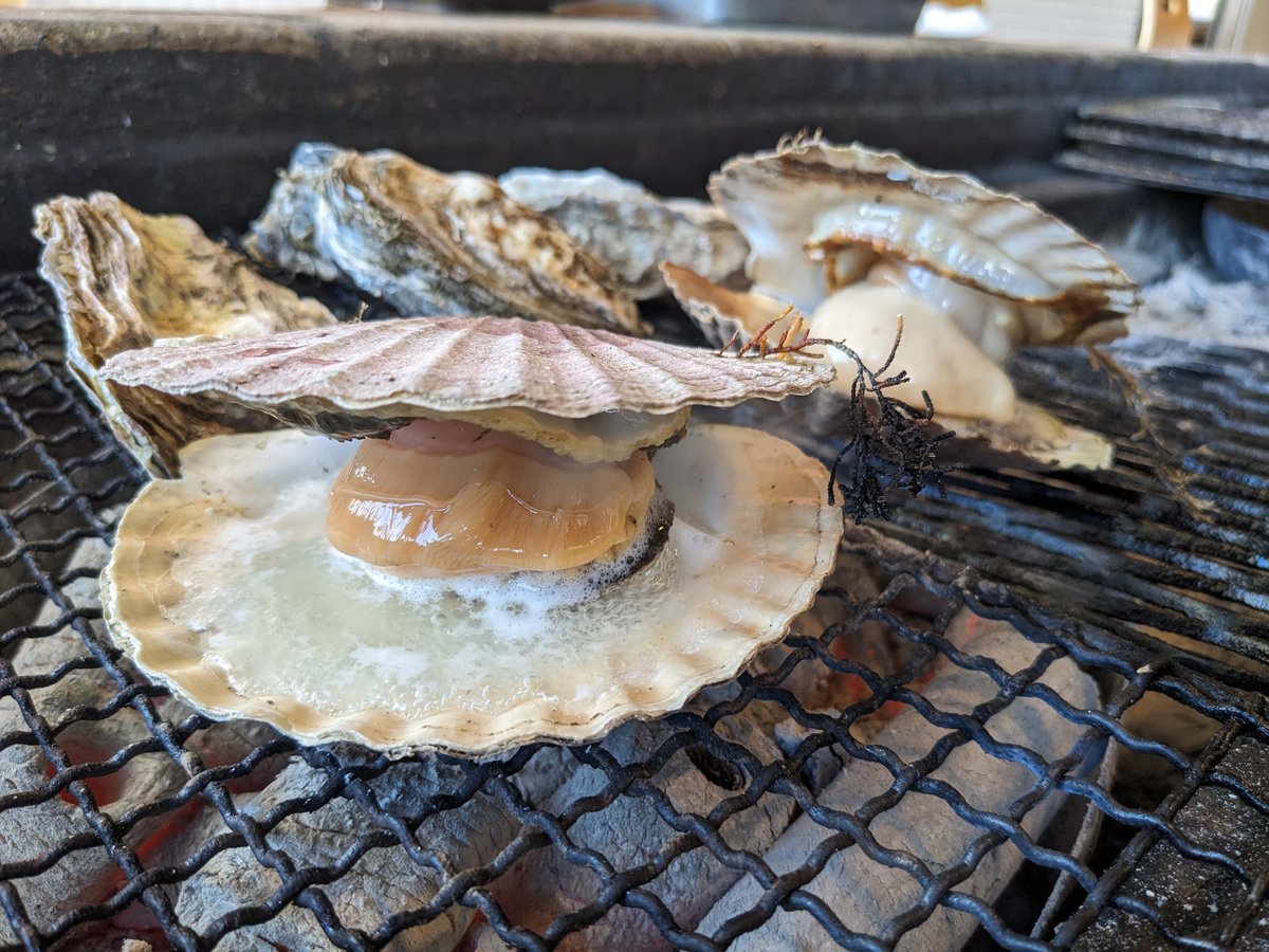 Fresh Oysters at Akkeshi, Hokkaido