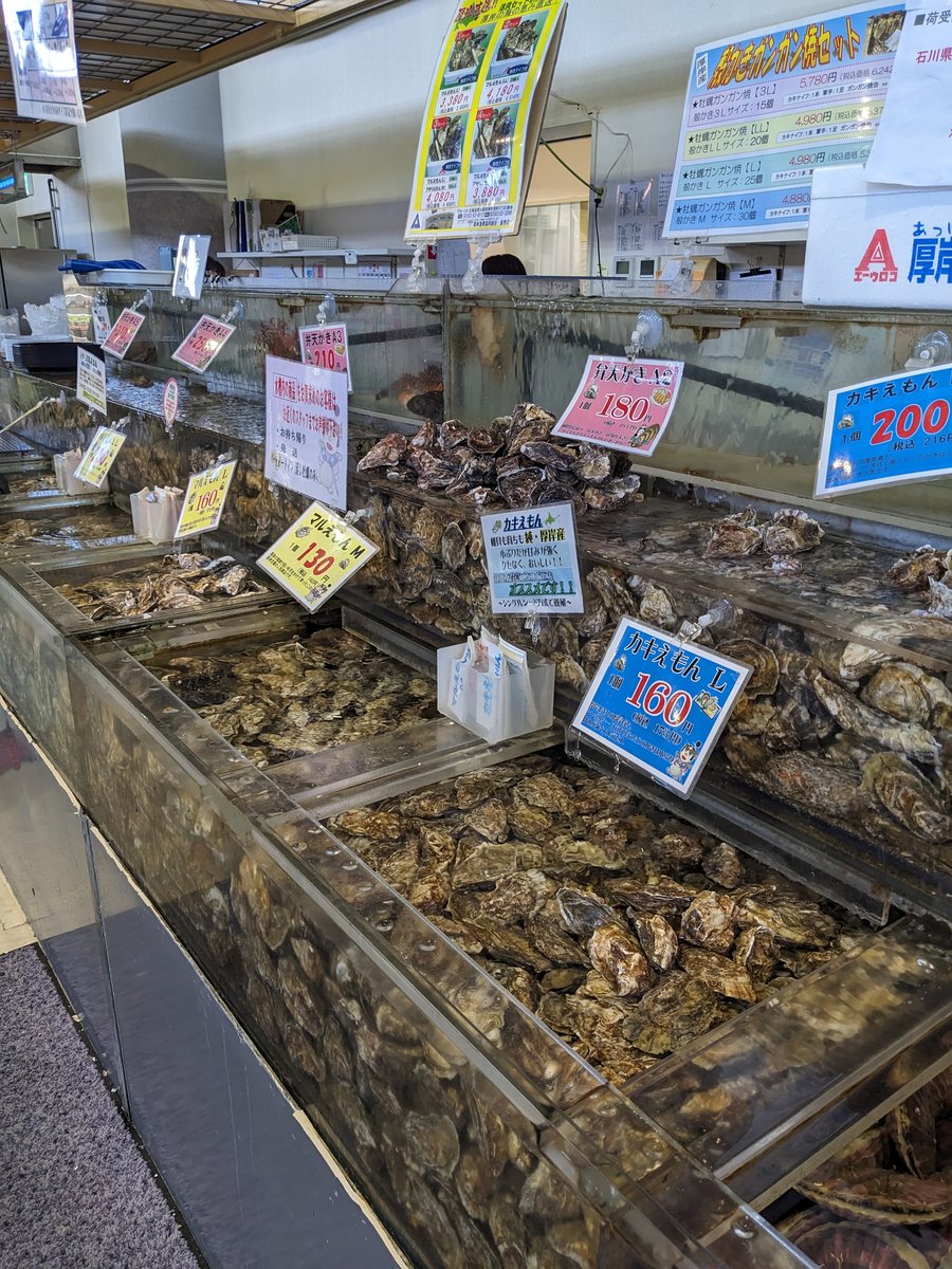 Fresh Oysters at Minatomachi Market, Akkeshi Hokkaido