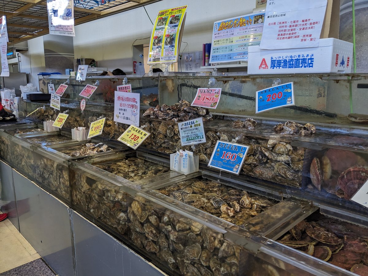 Fresh Oysters at Minatomachi Market, Akkeshi Hokkaido photo 2