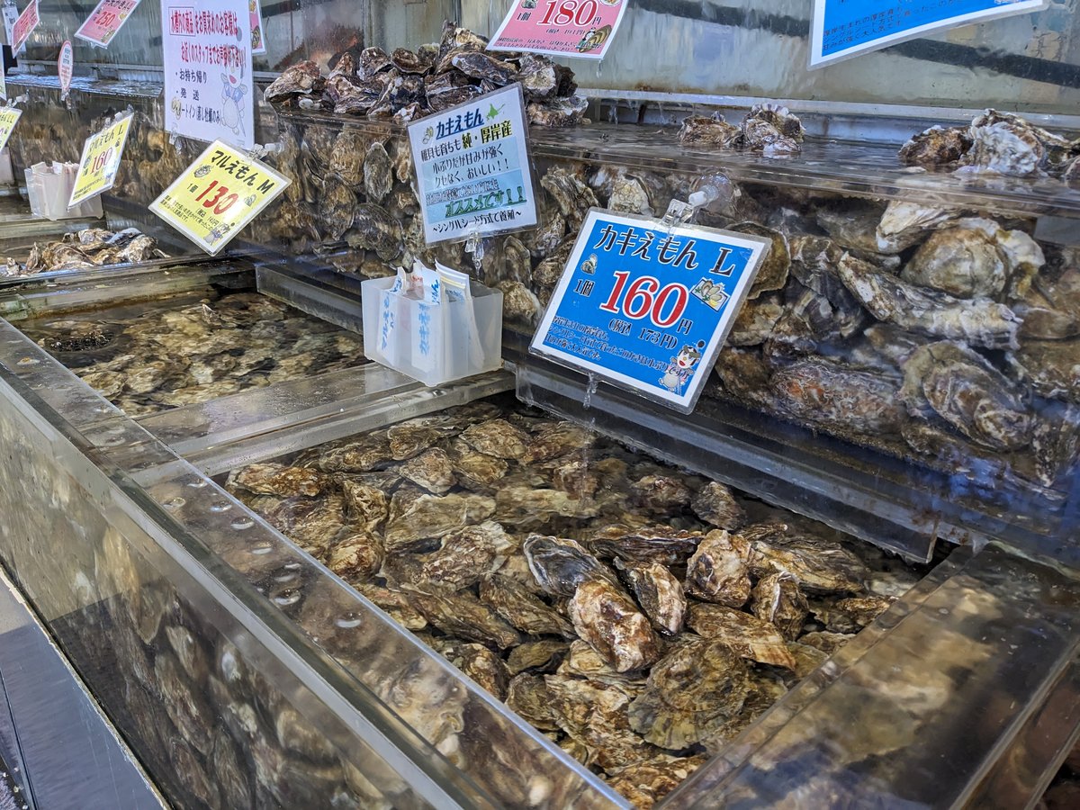 Fresh Oysters at Minatomachi Market, Akkeshi Hokkaido photo 3