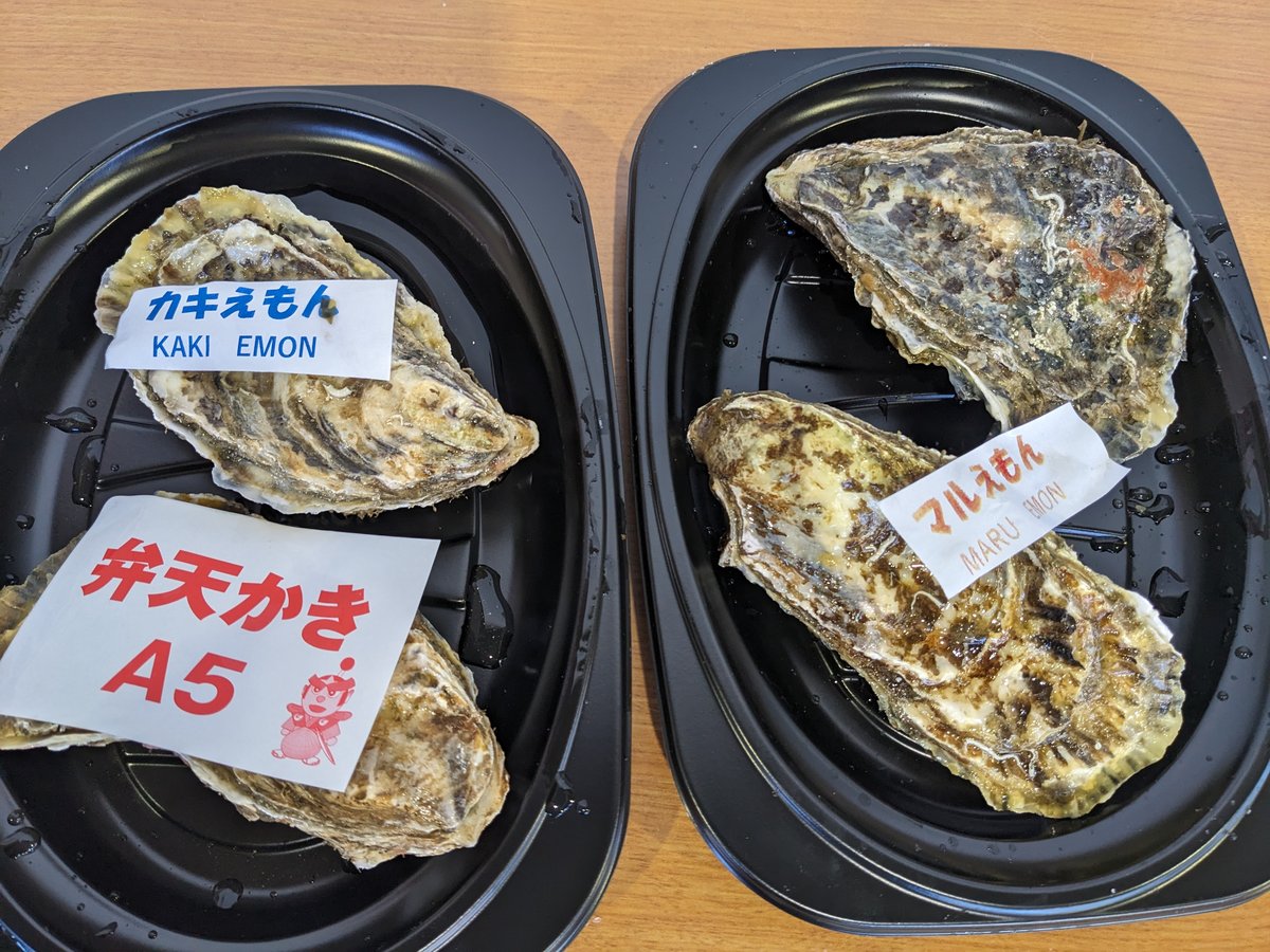 Fresh Oysters at Minatomachi Market, Akkeshi Hokkaido photo 5