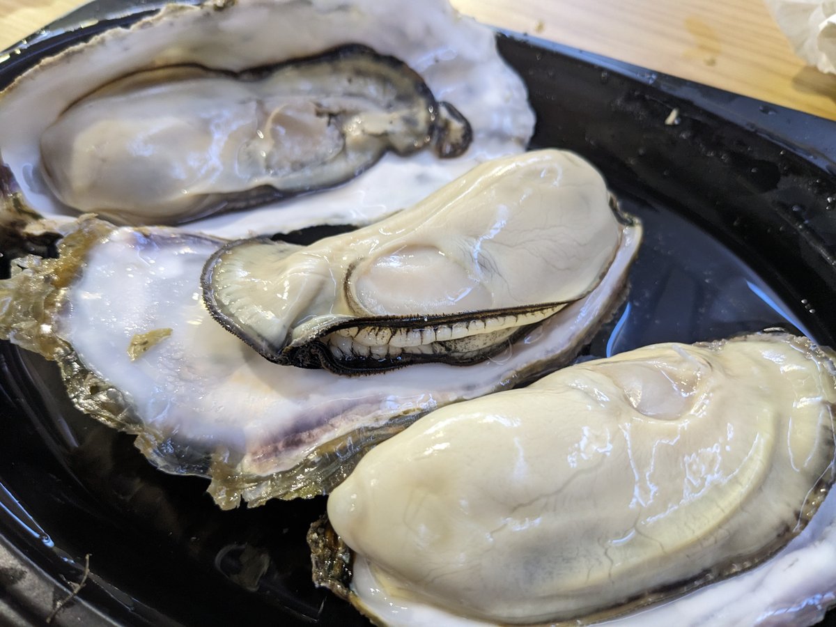 Fresh Oysters at Minatomachi Market, Akkeshi Hokkaido photo 6