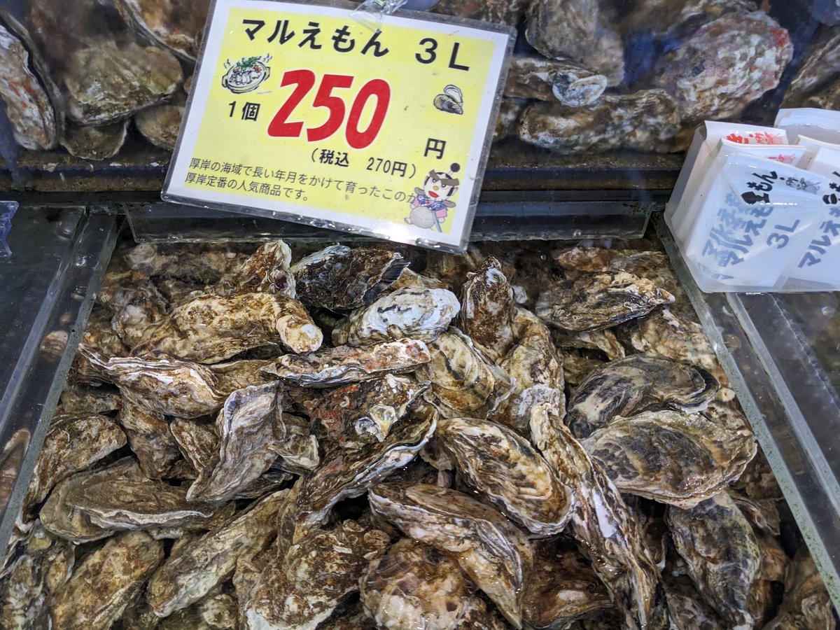 Fresh Oysters at Minatomachi Market, Akkeshi Hokkaido photo 8